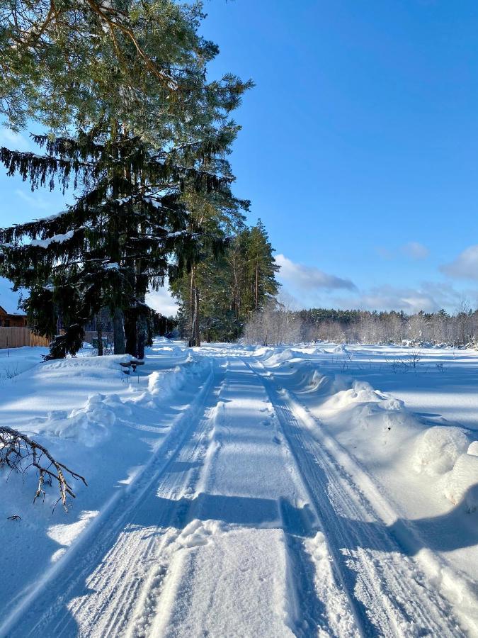 Caloroczne Domy Z Bala - Casa Del Czyzyk Serwy Экстерьер фото