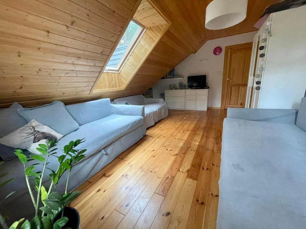 Caloroczne Domy Z Bala - Casa Del Czyzyk Serwy Экстерьер фото