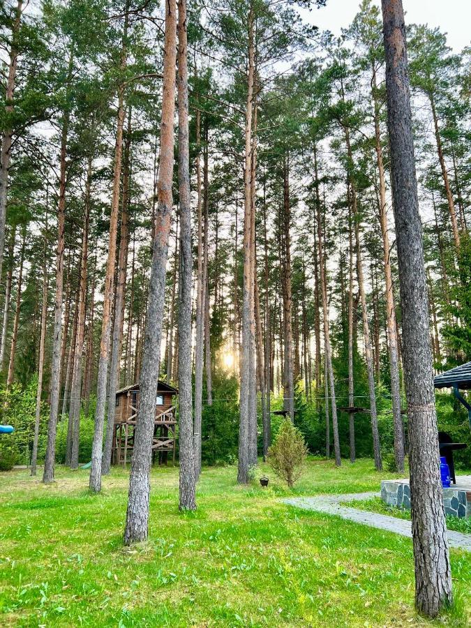 Caloroczne Domy Z Bala - Casa Del Czyzyk Serwy Экстерьер фото